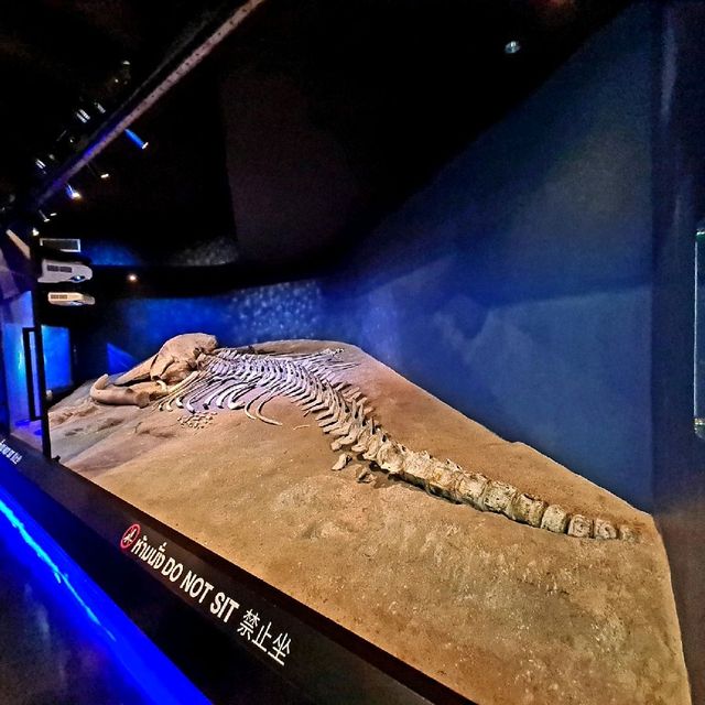 Phuket aquarium