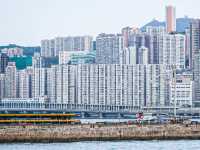 聽海笑的聲音
