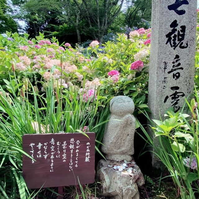 【兵庫県】華観音寺あじさい寺で1万株の紫陽花を愛でる！