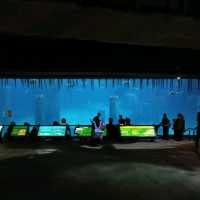 Trip to River Wonders