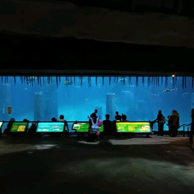 Trip to River Wonders