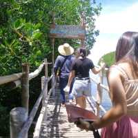 Mangroove Eco-Park