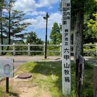 【神戸】六甲山牧場で牛さんソフト🐮🍦