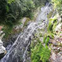 [佐賀]裏道でさらに森林浴🌳「清水の滝」