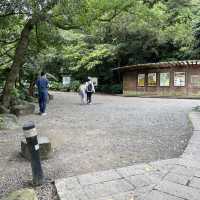位於台北市區的仙境步道 富陽生態公園