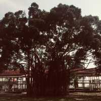 Mrigadayavan Palace 