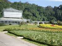 พาไปเที่ยว 'สวนพฤกษศาสตร์สิริกิติ์ เชียงใหม่'
