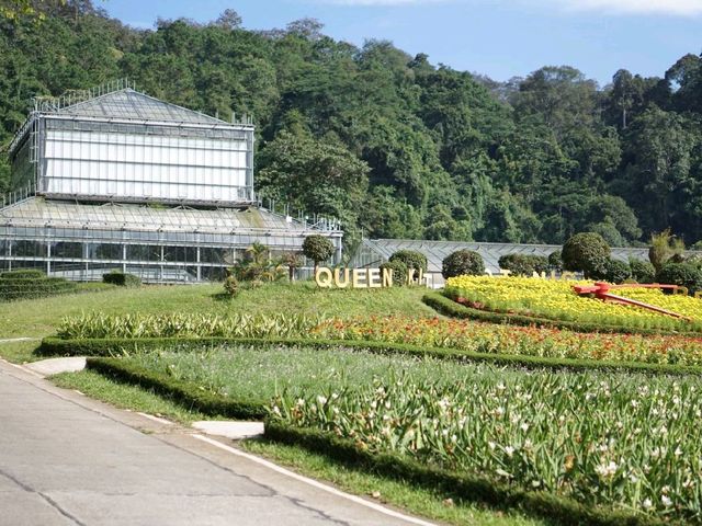 พาไปเที่ยว 'สวนพฤกษศาสตร์สิริกิติ์ เชียงใหม่'