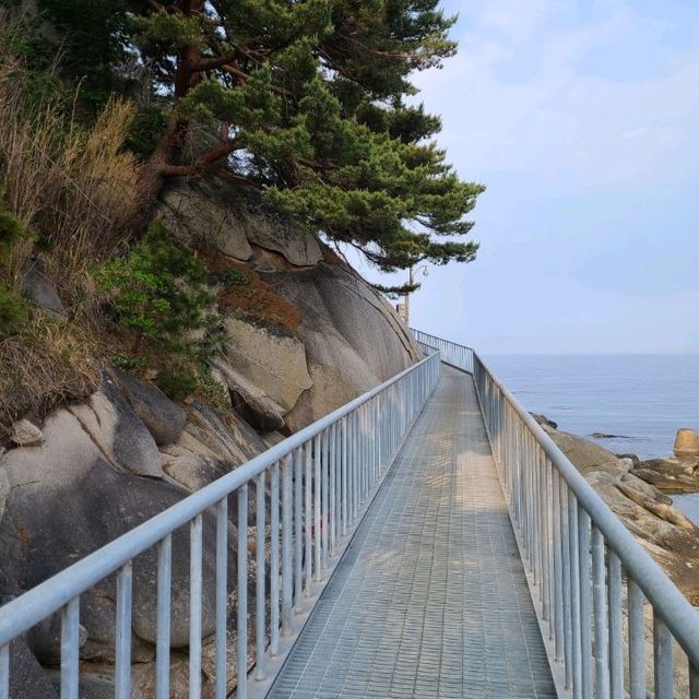 동해 바다가 한눈에 보이는 양양 죽도 전망대