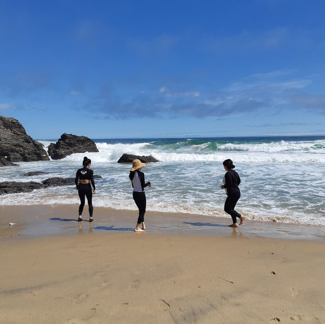 삼척 솔비치 해안산책로를 따라 걸어보아요🚶‍♀️🌊