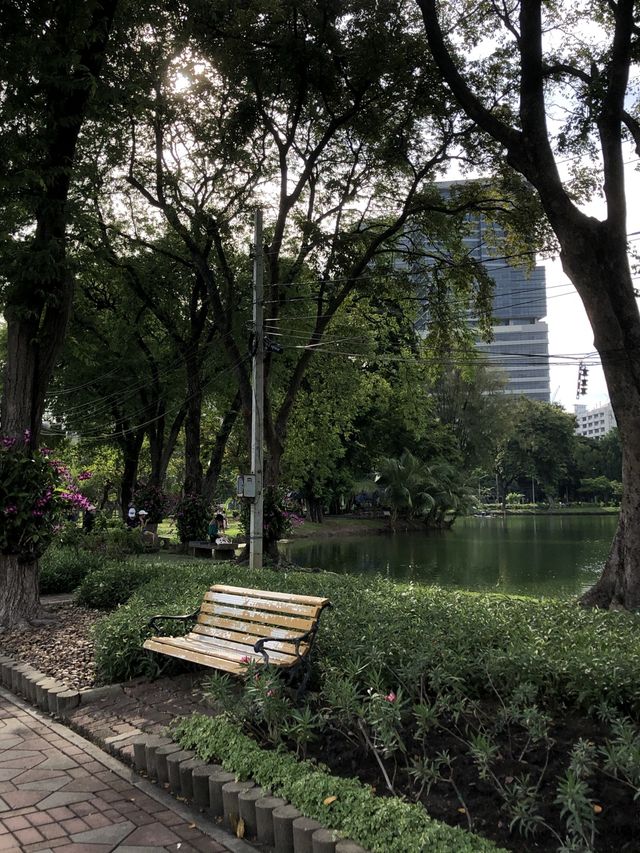 방콕 도심에서 자연을 느끼고 싶다면 ’룸피니공원‘ 🌳〰️💭