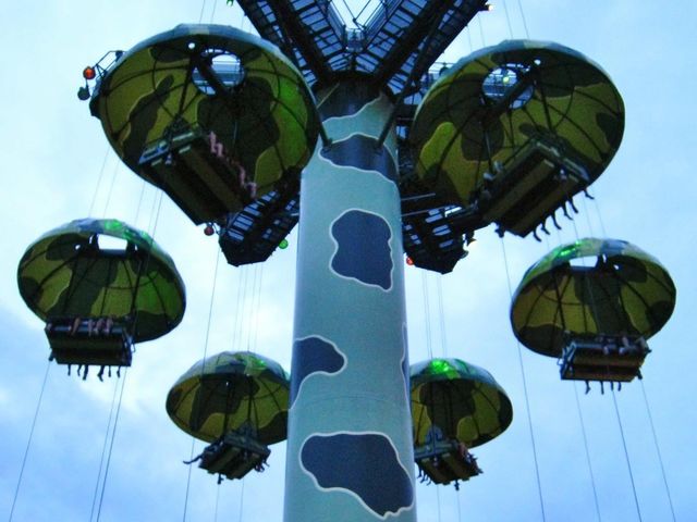 Day trip to Disneyland