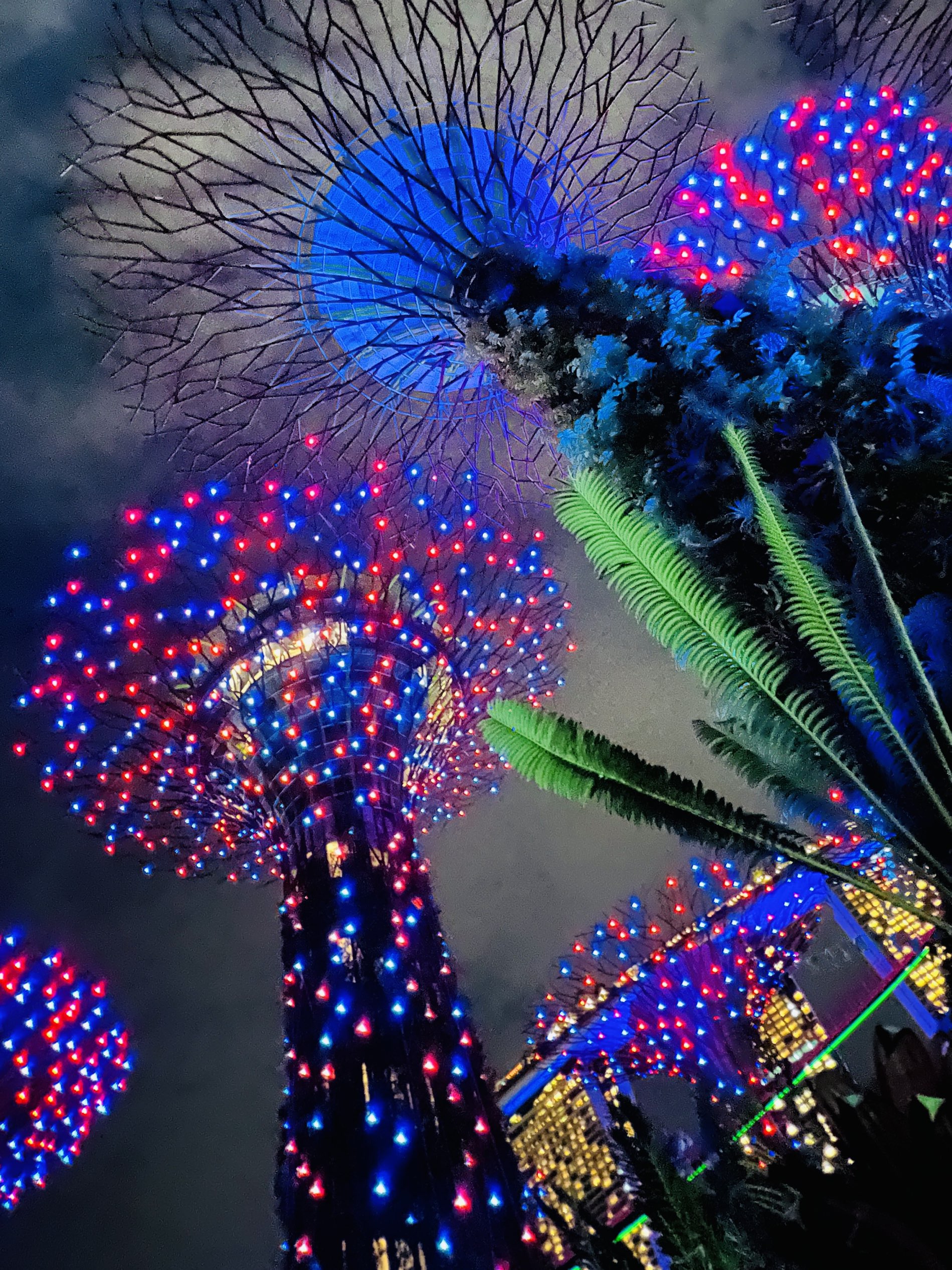 Singapore's Gardens by the Bay Light show | Trip.com Singapore