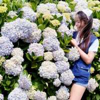 Maze Land in Jeju