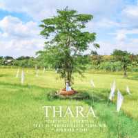 คาเฟ่นครนายก! เกาหลี เกาใจ ธรรมชาติสุดๆ สวยมาก