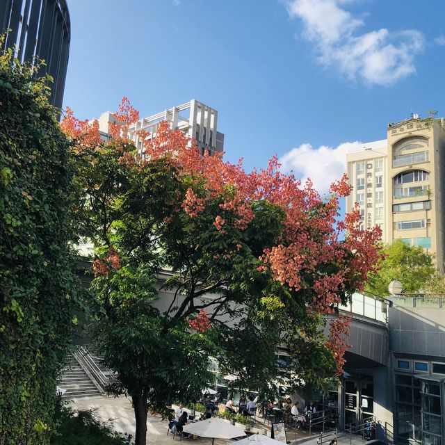 寶可夢迷快來💙💛 Daan Forest Park 大安森林公園