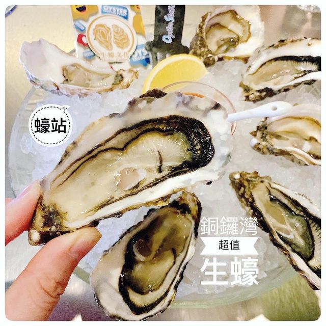 盡情「蠔」😍銅鑼灣$10/隻新鮮生蠔🦪 盡情「蠔」😍銅鑼灣$10/隻新鮮生蠔🦪