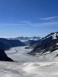 한여름에 만년설 밟기🏔