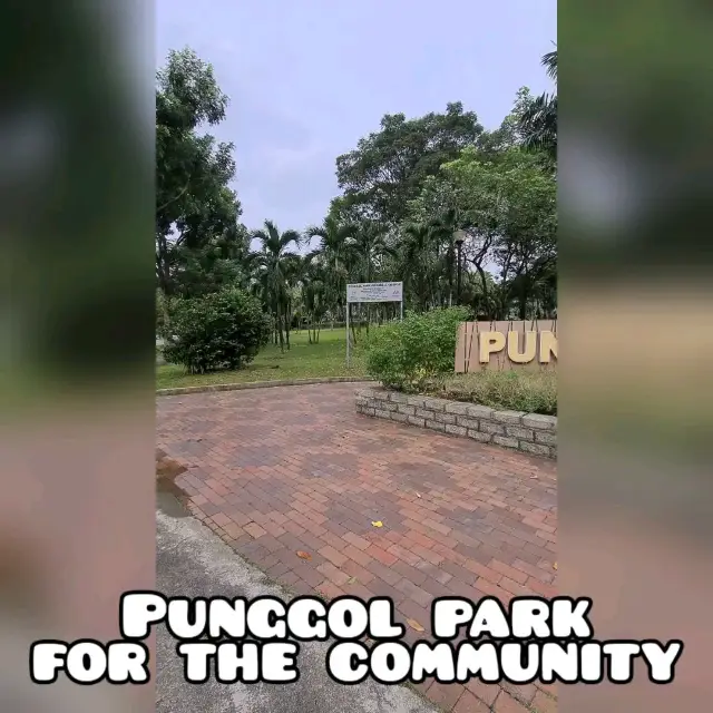 Punggol Park with big pond and greenery