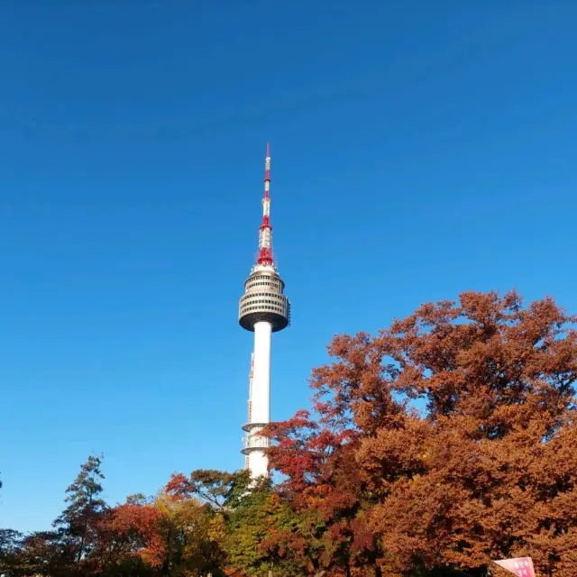 Hiking @ Namsan Park