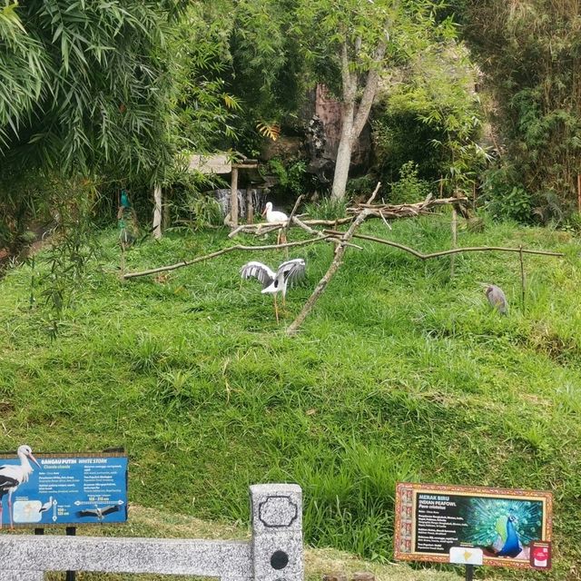 Istana Panda Taman safari Indonesia Bogor.