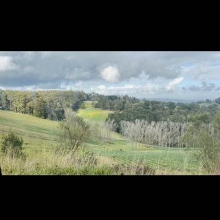 Slow bushland in Melbourne