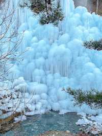 대구판 겨울왕국 ❄️👑
