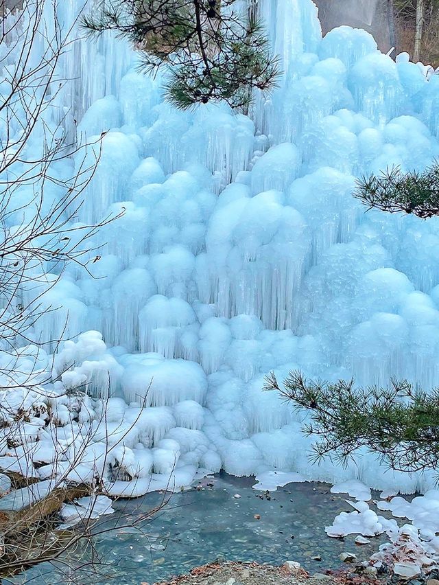 대구판 겨울왕국 ❄️👑