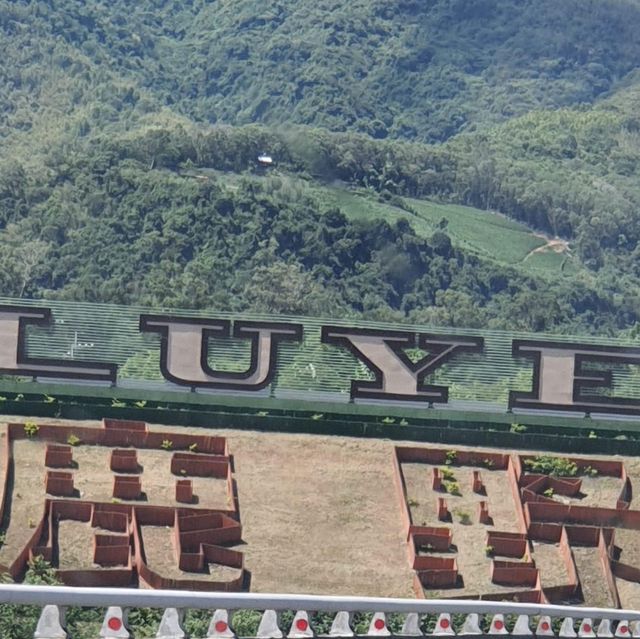 鹿野高原