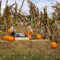 Get yourself a pumpkin in Riceville TN 