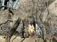 Toledo Zoo and Aquarium - Toledo, USA