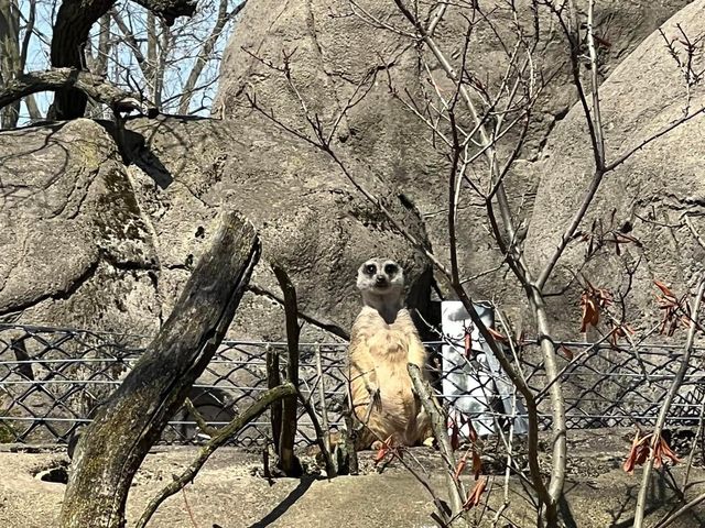Toledo Zoo and Aquarium - Toledo, USA