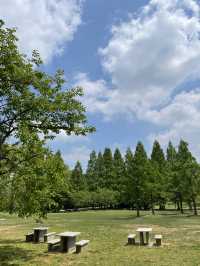 올림픽공원 피크닉장을 소개합니다🌲