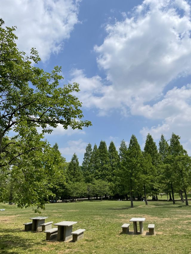 올림픽공원 피크닉장을 소개합니다🌲