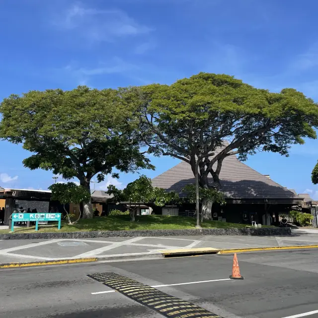 Quakes shake the Big Island!!