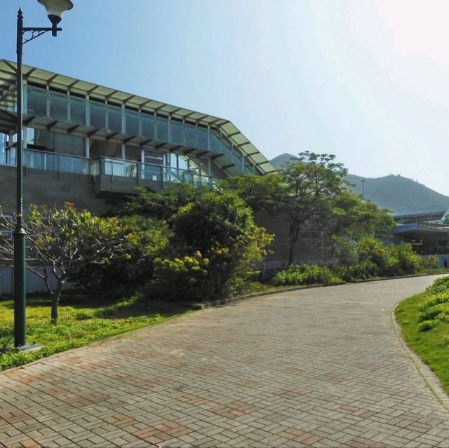 青衣陰澳灣，長索島，遠足行山半天遊！