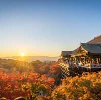 京都旅遊必去！清水寺賞楓的日與夜