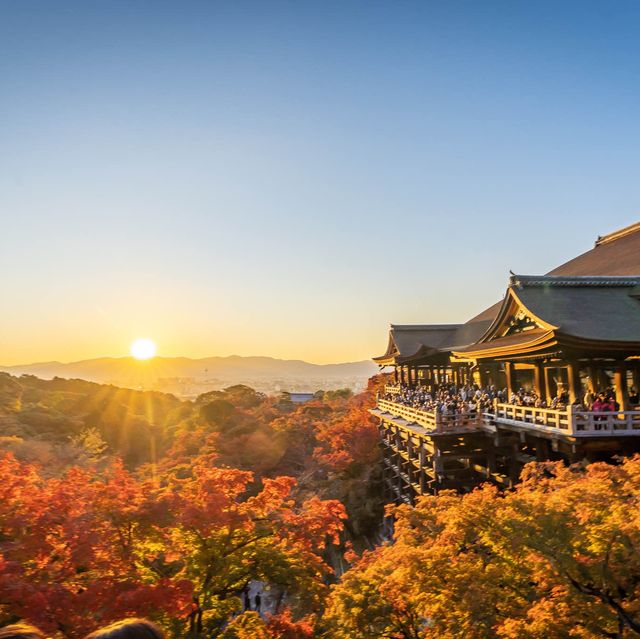 京都旅遊必去！清水寺賞楓的日與夜