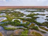 Oasis in Tengger Desert@Inner Mongolia