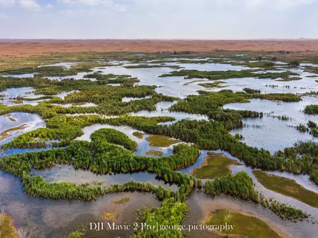 Oasis in Tengger Desert@Inner Mongolia