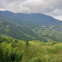 Beautiful Rice Terraces