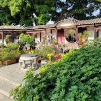 An oasis in a concrete jungle