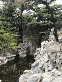 Spring In Yantai 