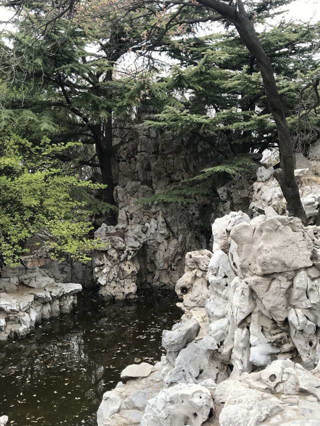 Spring In Yantai 