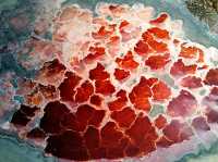The RED LAKES of Inner Mongolian Desert ❤️❤️❤