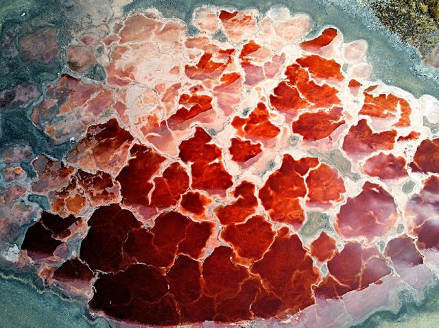 The RED LAKES of Inner Mongolian Desert ❤️❤️❤