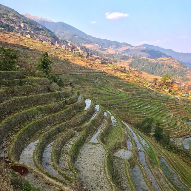 용의 척추를 닮은 다랑논의 고장, 용척제전(龙脊梯田)