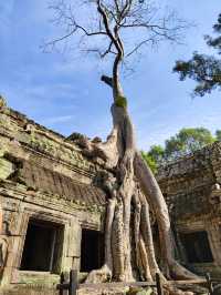 Cambodia, Angkor Wat Dress Code ❤️
