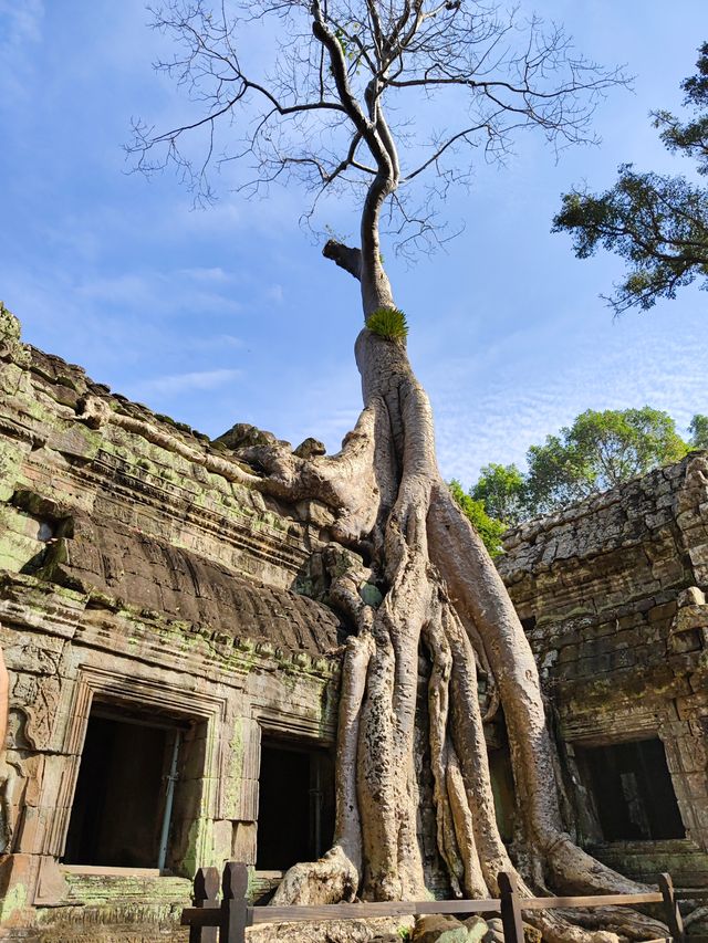 Cambodia, Angkor Wat Dress Code ❤️