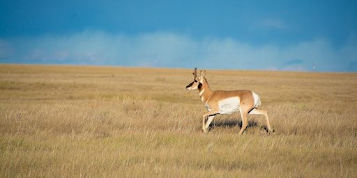 44th Annual Alberta Bowhunters Association Banquet - The Prairie Pursuit | Best Western Premier Calgary Plaza Hotel & Conference Centre